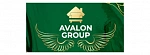 Avalon Group